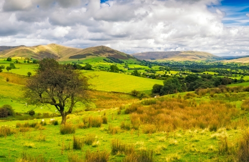 Events In Yorkshire'